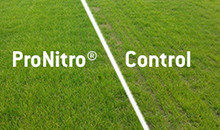 Save time and money with ProNitro® seed treatment